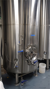 Premier Stainless 30bbl Bright Tank