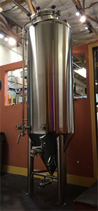 (2) 5BBL Single Wall Fermenter