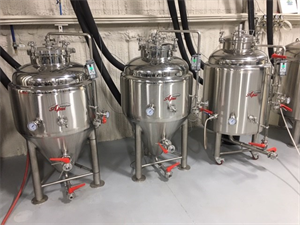 2 x 2BBL Fermenters and 1 x 2BBL Brite Tank