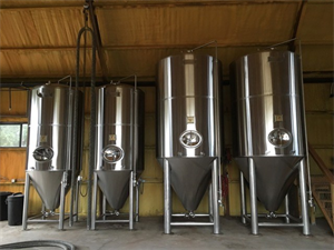 2 x 60 bbl FV USA Manufactured (Mark's Design and Metalworks) - 2014 model