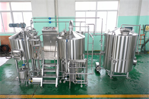5bbl turnkey beer brewing system with FVS&BBTS