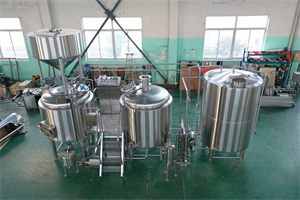 10bbl turnkey beer brewing system with FVS&BBTS