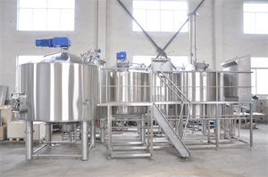 20bbl turnkey brewing system with FVS&BBTS