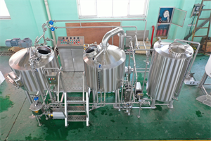 3bbl turnkey beer brewing system with FVS $BBTS