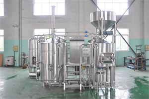 5bbl turnkey direct fired brewing system