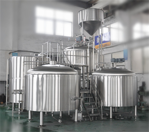 30bbl turnkey beer brewing system with FVS &BBTS