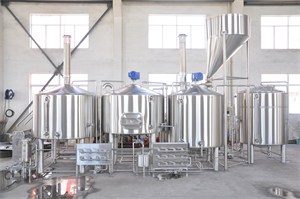 20bbl turnkey brewing system with FVS&BBTS