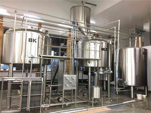 30bbl turnkey beer brewing system with FVS &BBTS