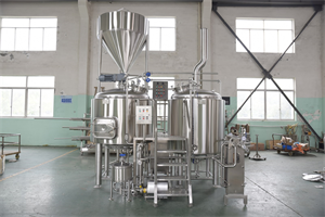 NFE best quality 7bbl turnkey brewing system with FVs & BBTs