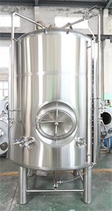 NFE New 20BBL Jacketed Brite Beer Tanks&BBT