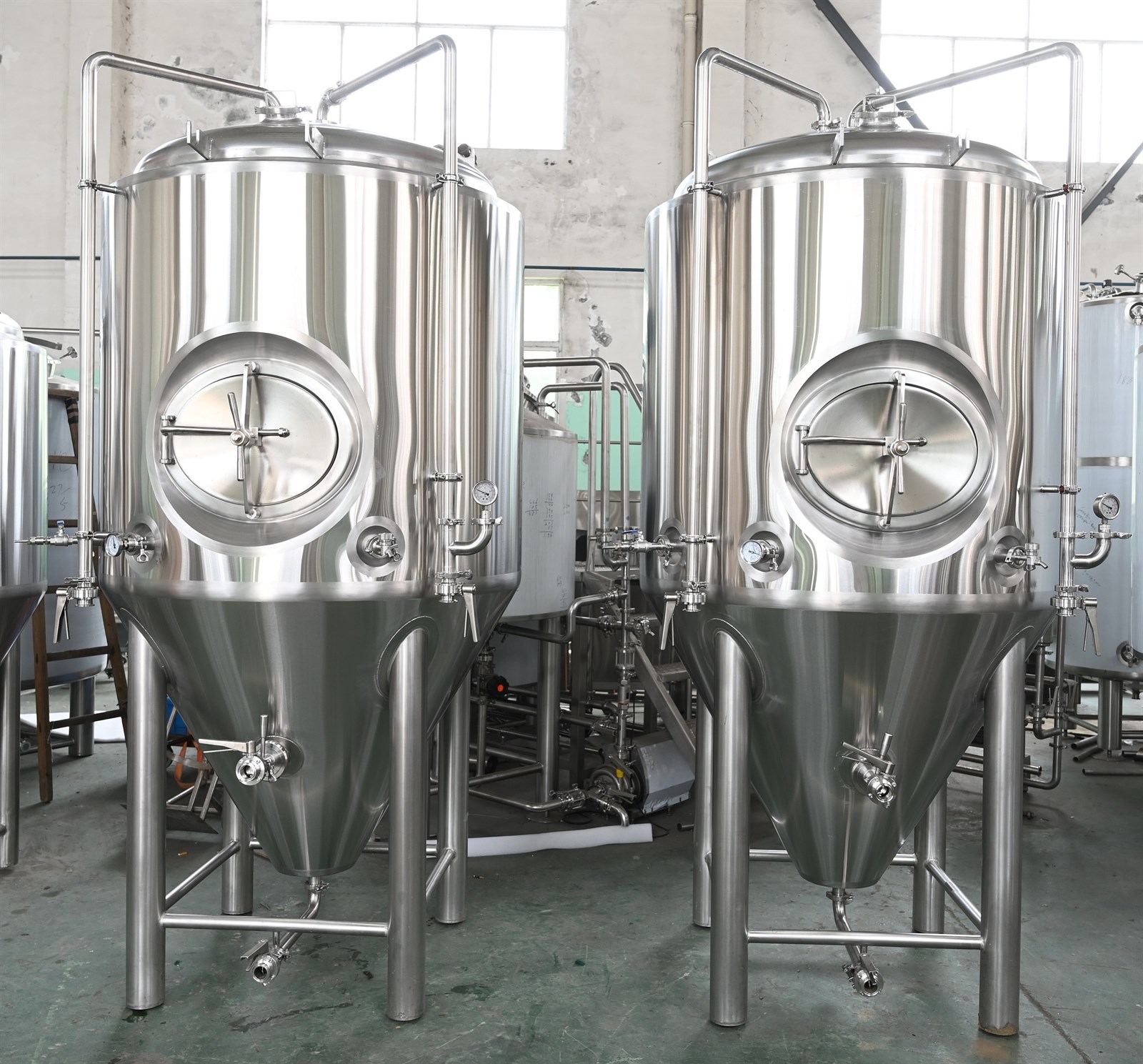 5bbl turnkey beer brewing system with FVS&BBTS